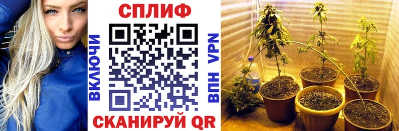 цены   Белебей  Каннабис SATIVA & INDICA 